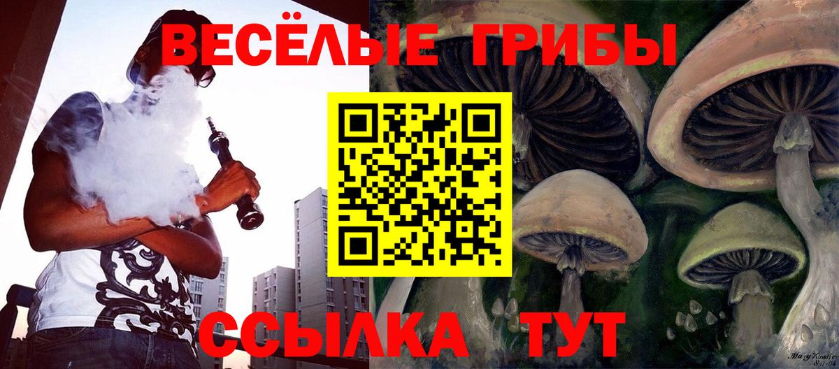 Галлюциногенные грибы ЛСД  Вход с VPN  Кыштым 